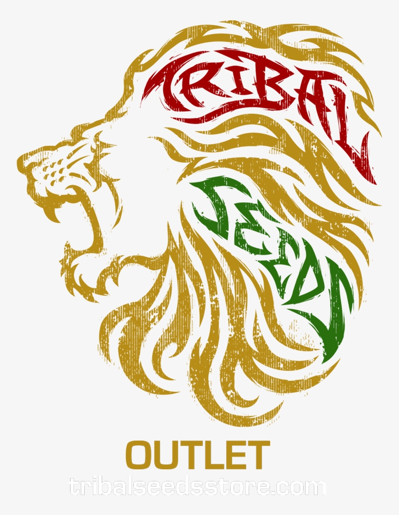 Image - Tribal Seeds 2016 Logo, transparent png