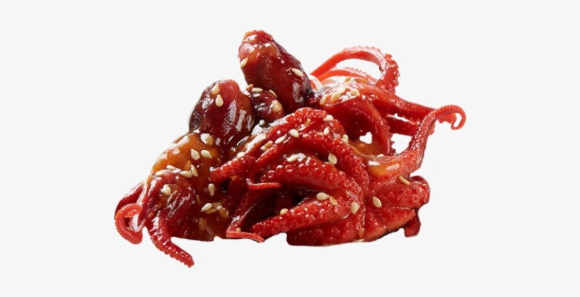 Download Baby Octopus Food Png 500x500 Png Download Pngkit Yellowimages Mockups