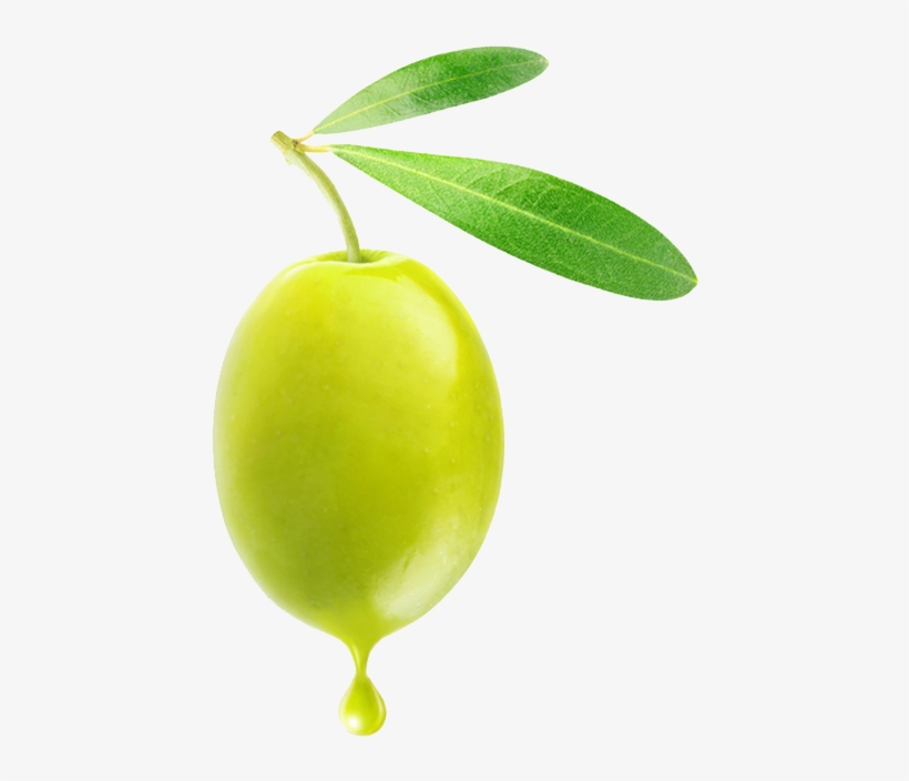 Olive Png - Png Olive, transparent png