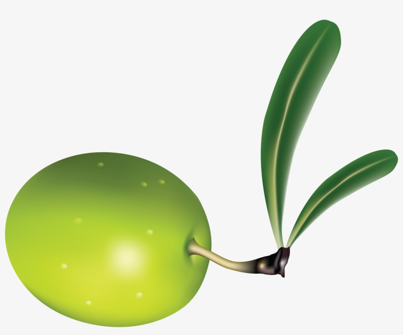 Olive Png, transparent png