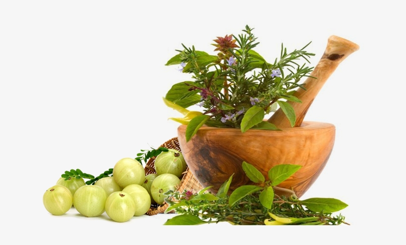 Slide Background - Ayurvedic Herbal, transparent png