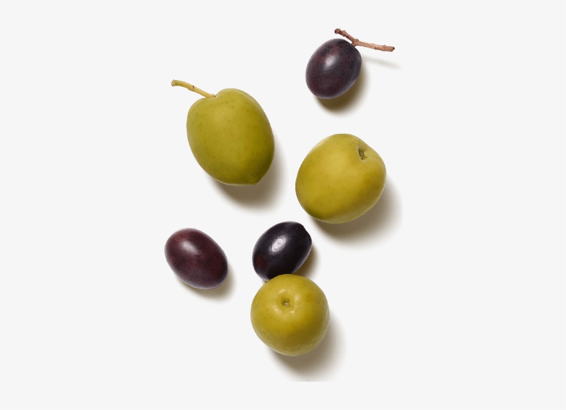 Images - Olive, transparent png