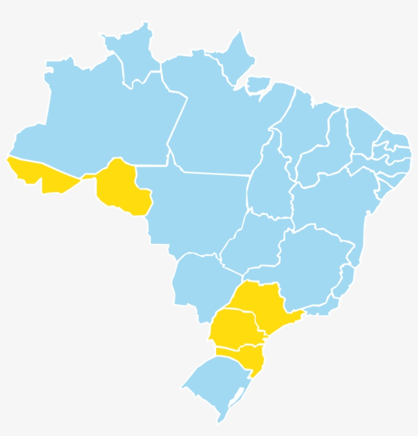 This Genetic Testing Is Part Of The 150 Thousand Chances - Brazil Color Map, transparent png