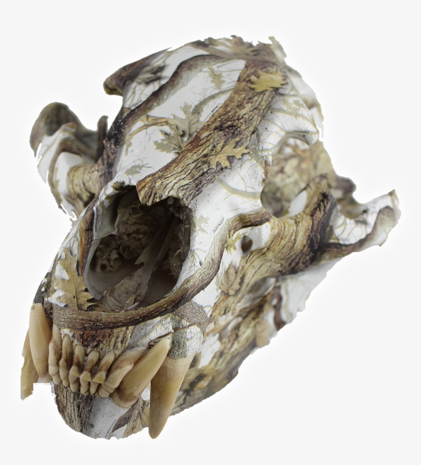 Animal Skull Hydro Dipping Service - Clothing, transparent png