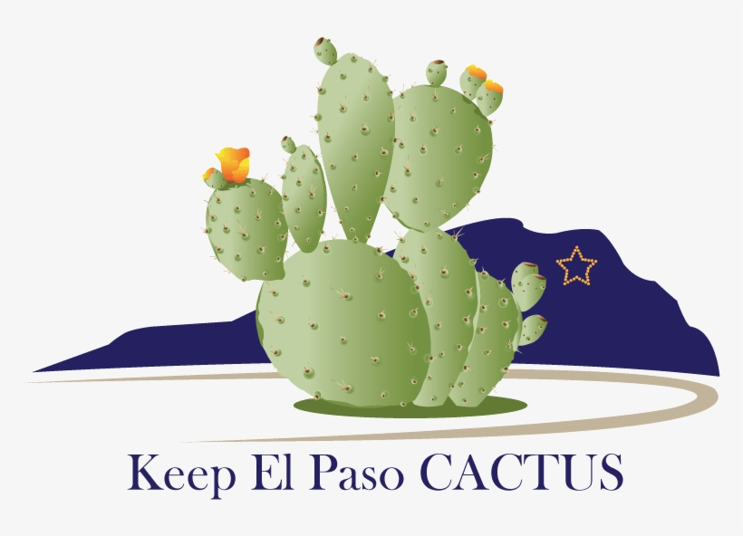 Bold, Playful Vector Design For Drennan Enterprises - Eastern Prickly Pear, transparent png