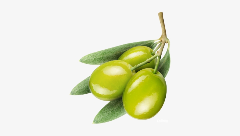 Deluxe Alpha Background Olive Png Png Image With Transparent - Olives .png, transparent png
