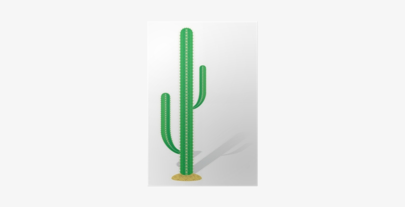 San Pedro Cactus, transparent png