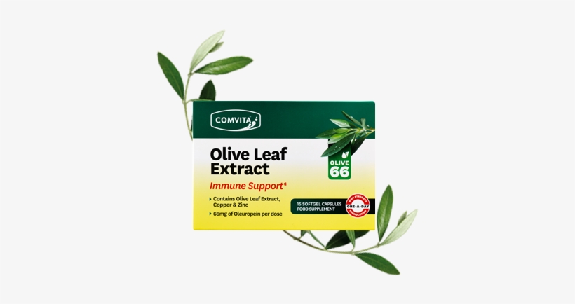 Immune Support Olive Leaf Extract Capsules - Comvita Olive Leaf 15 Capsules, transparent png