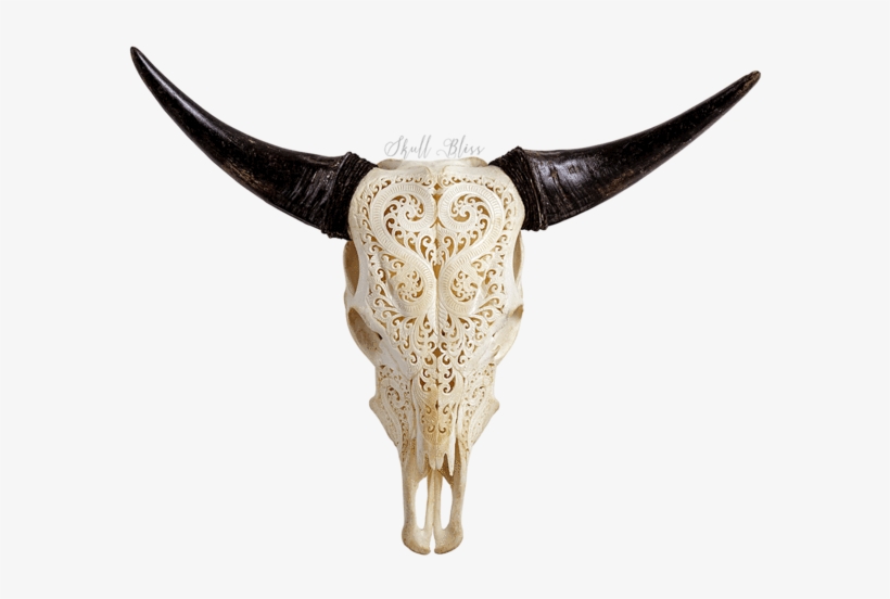 Horned Antelope Skull Transparent, transparent png