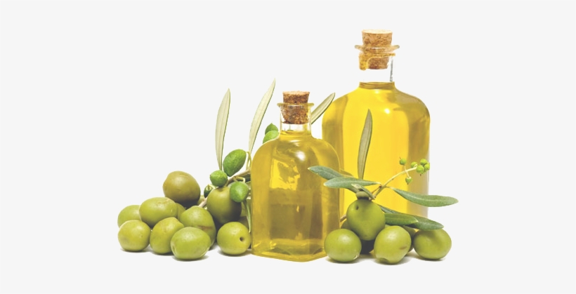 Olive Oil Free Png Image - Ancient Greek Olive Oil Png, transparent png