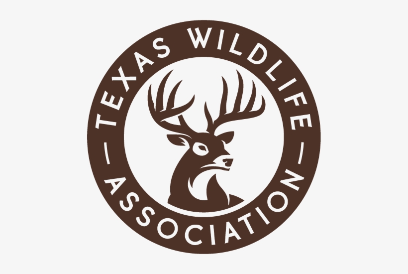Animal Skull Investigation - Texas Wildlife Association Logo Png, transparent png