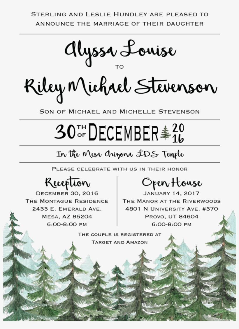 Getting To Work So Closely With My Client On This Project - Fern, transparent png