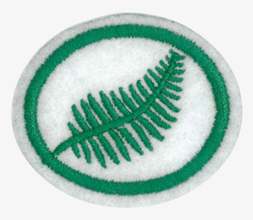 Ferns Honor - Computer File, transparent png