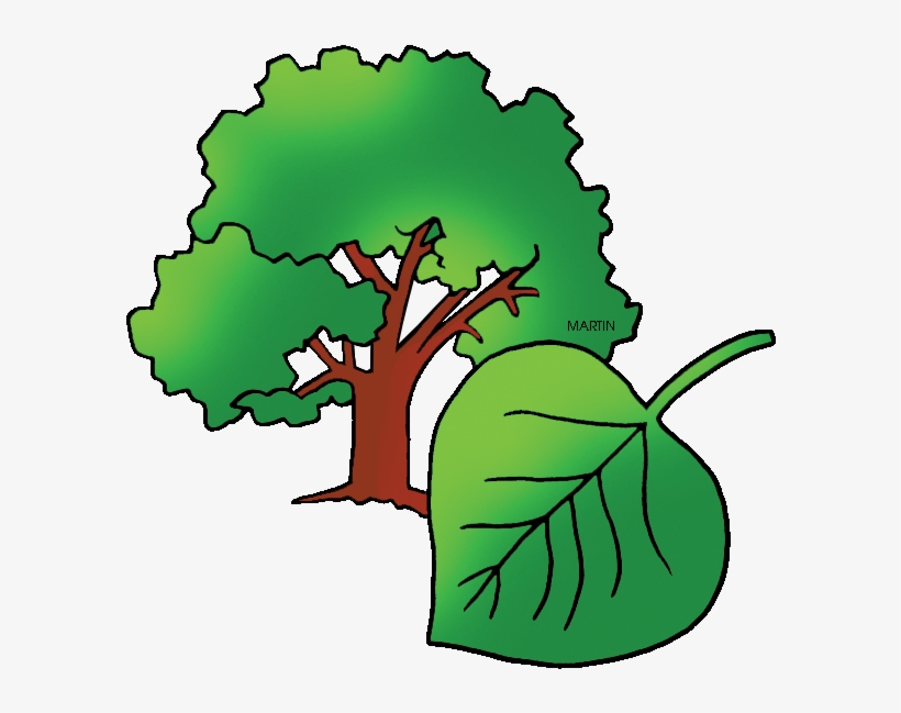 Free United States Clip Art By Phillip Martin, State - Mascotte Crocodile, transparent png