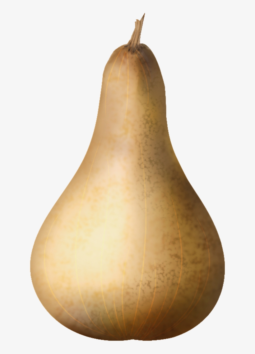 Vector Pumpkin - Pumpkin, transparent png