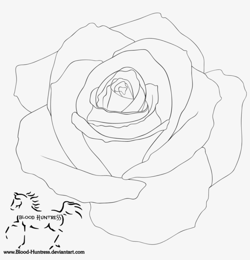 Rose - Drawing, transparent png