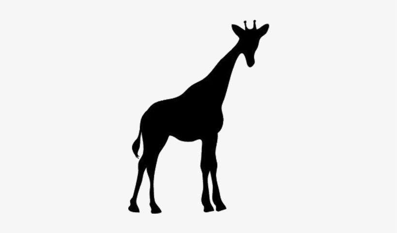 Giraffe - Giraffe Silhouette, transparent png