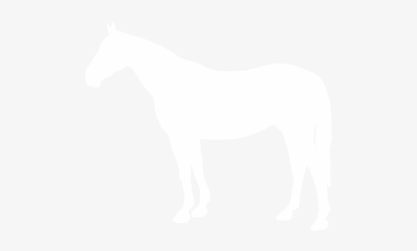 Horse-icon - - Horse, transparent png