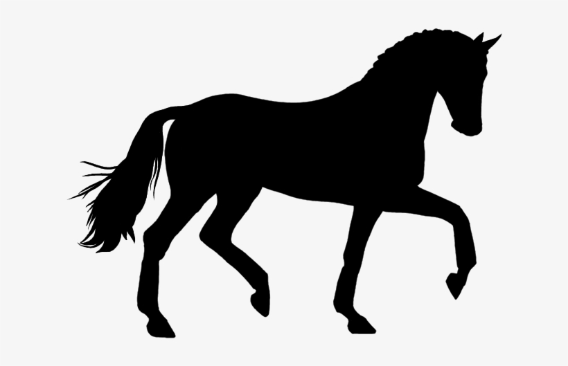 Horse Transparent Png Image - Horse Silhouette Png, transparent png