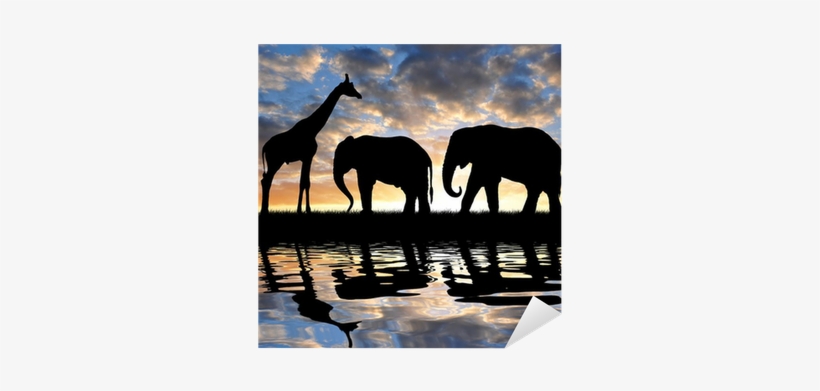 Silhouette Elephants And Giraffe In The Sunset Sticker - Elephants And Giraffes, transparent png