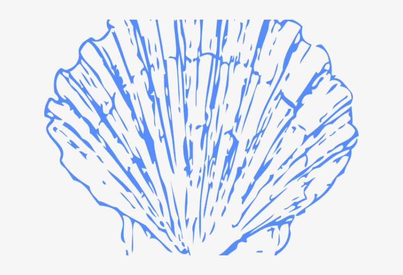 Clam Clipart Blue Seashell - Blue Seashell Png, transparent png