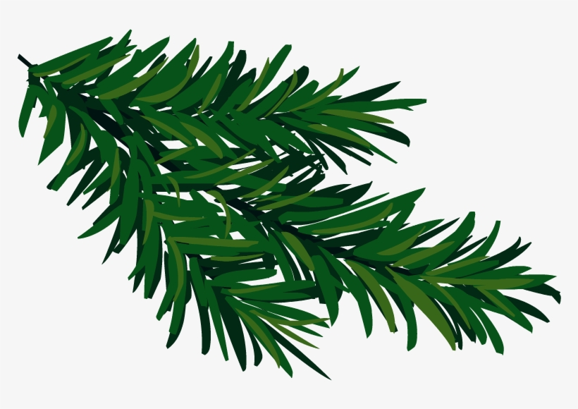 Открытки Угощение Друзьям El Baúl De Carlota Evergeen - Tree, transparent png