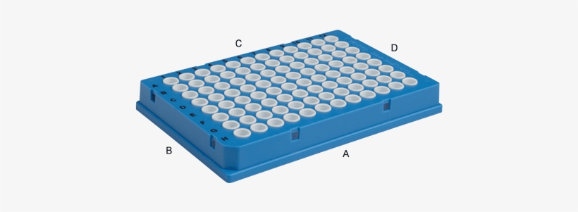 More Information - Hard Shell Pcr Plate, transparent png