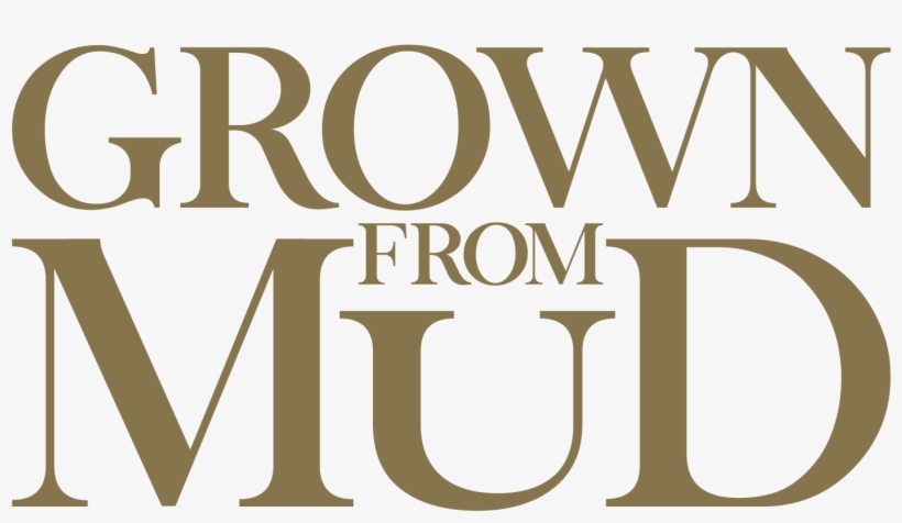 Mud Track Png - Dims Logo, transparent png