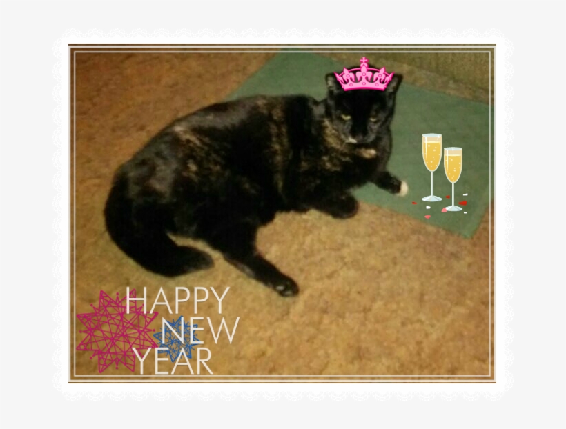 She Informed Me That's What Photo-editing Software - Image Editing, transparent png