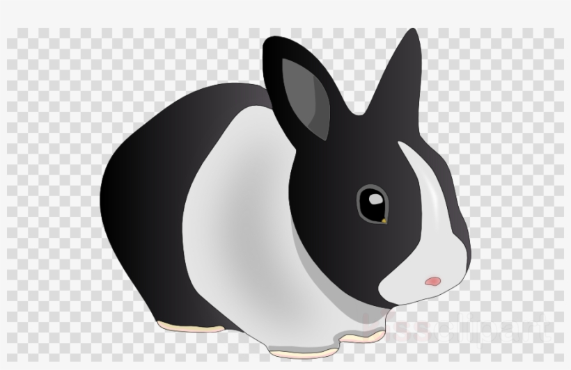 Download Rabbits Clipart Domestic Rabbit Easter Bunny - Emotes De Fortnite Png, transparent png