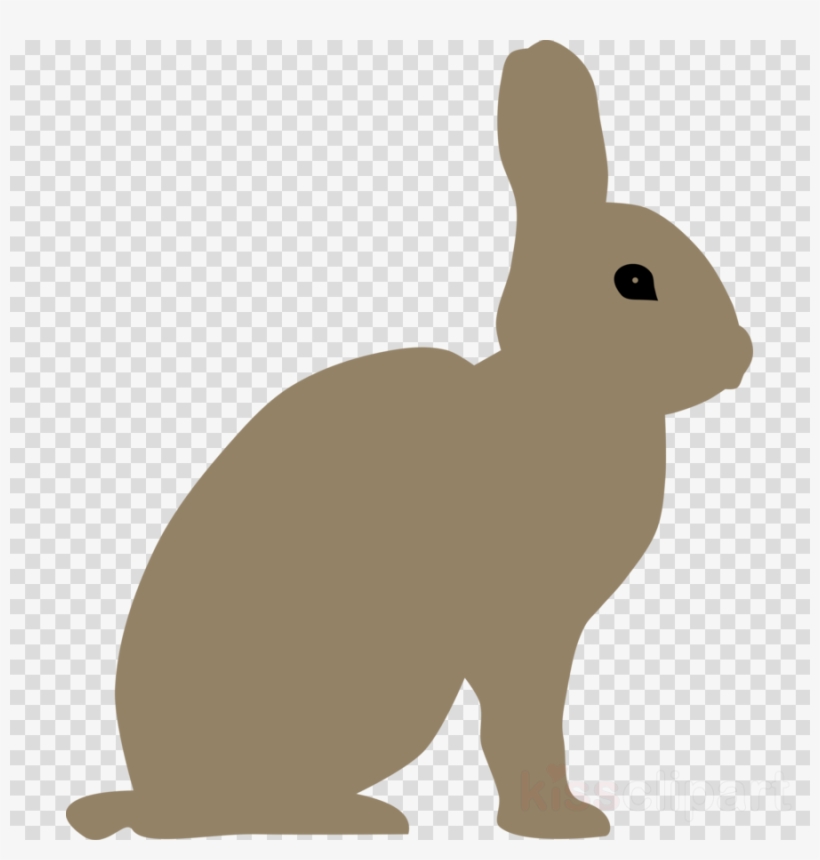 Download Gray Bunny Rabbit Transparent Clipart Snowshoe - Child Tutu Ballerina Silhouette, transparent png