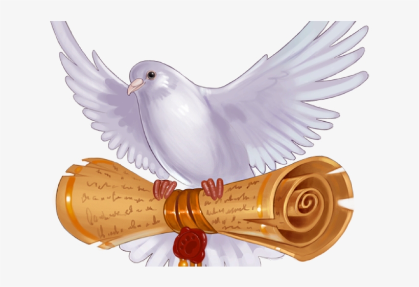 Pigeons And Doves, transparent png