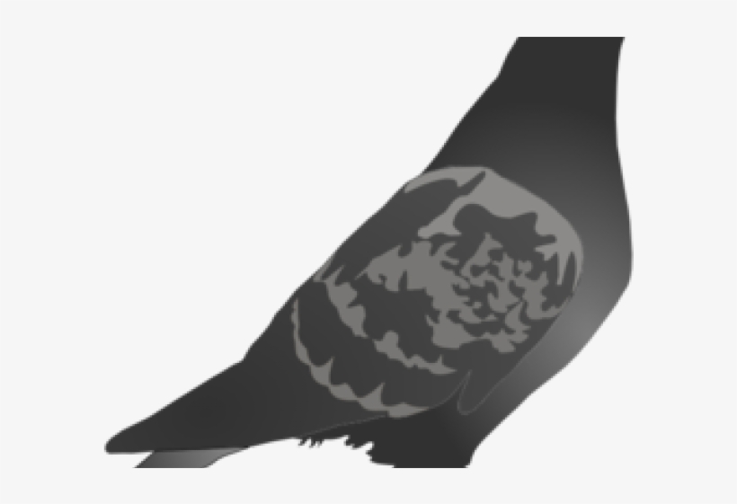 Pigeon Clipart File - Racing Pigeon Silhouette Png, transparent png
