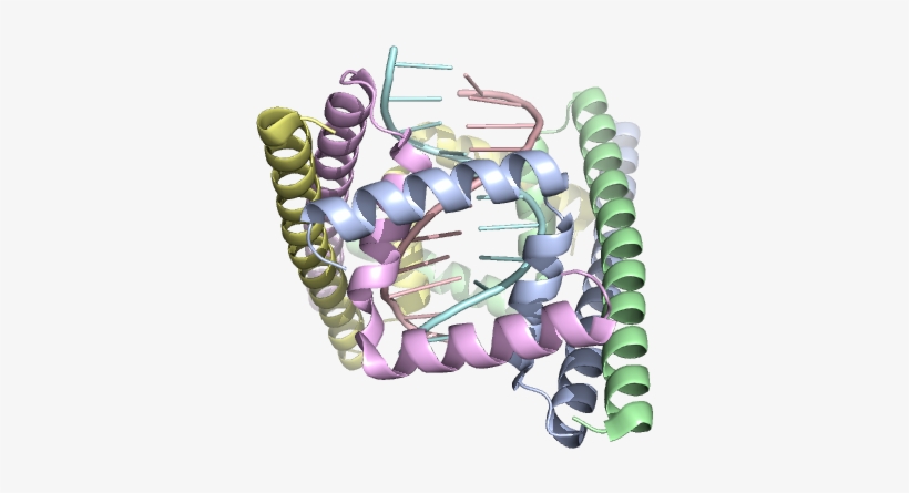 6cg8 - Bracelet, transparent png