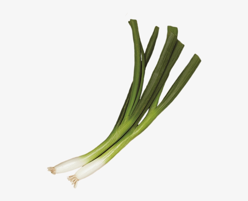 2 Unit - Leek, transparent png