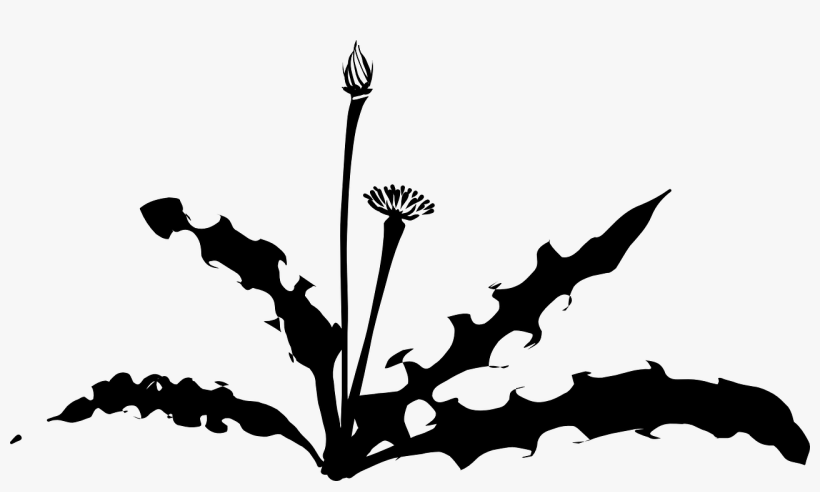 Dandelion Silhouette, transparent png