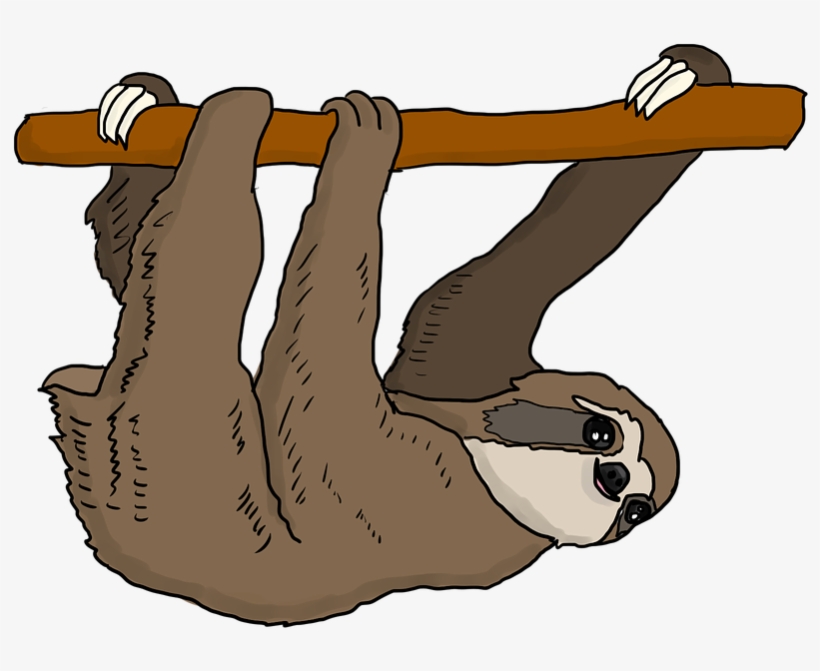 Sloth Tree Sloth Hanging Cute Mammal Cartoon - Sloth Clipart, transparent png