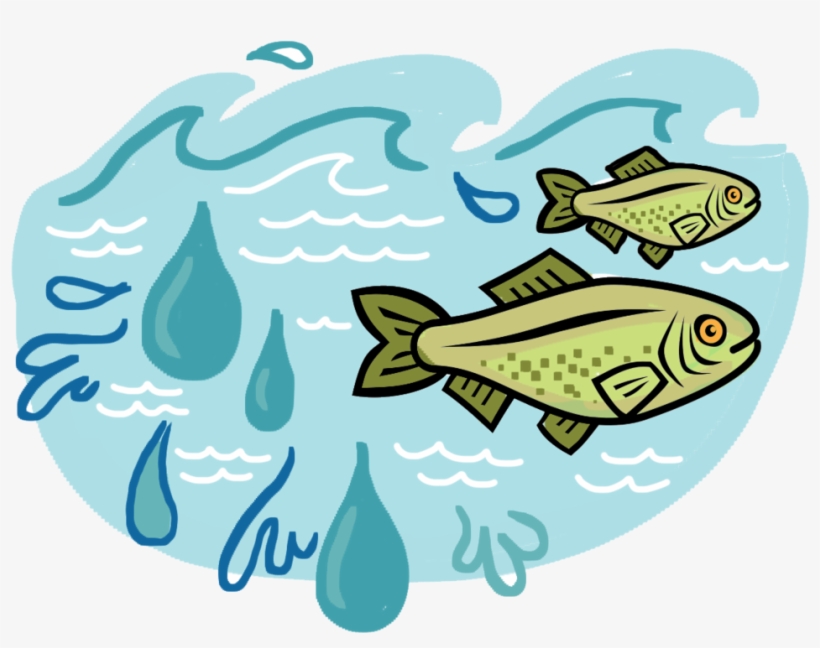 From 2013 2015, Abcd Worked With The Oldman Watershed, transparent png