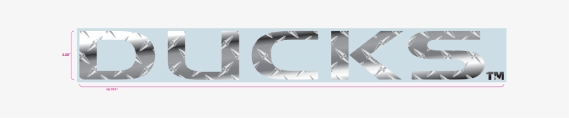University Of Oregon, transparent png