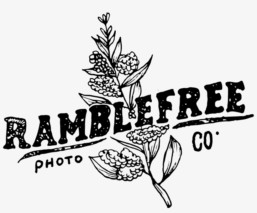 New England Wedding Photographer - New England, transparent png