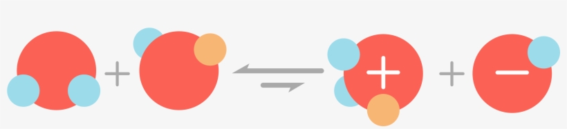 Circle, transparent png