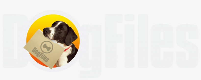 Croatia, transparent png