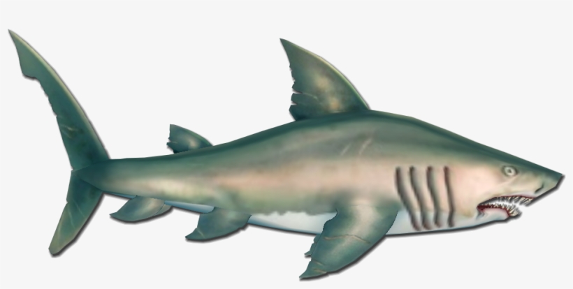 Fish 18 - Pirates Of The Caribbean Shark, transparent png