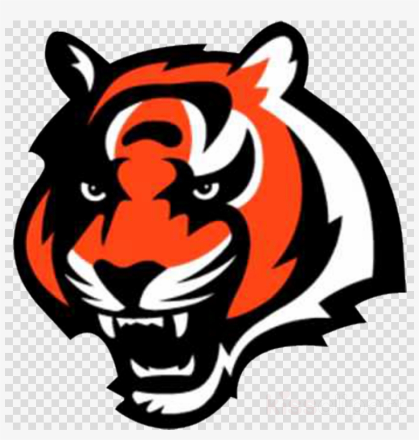 Cincinnati Bengals Tiger Logo Clipart Cincinnati Bengals - Cincinnati Bengals Tiger Logo, transparent png