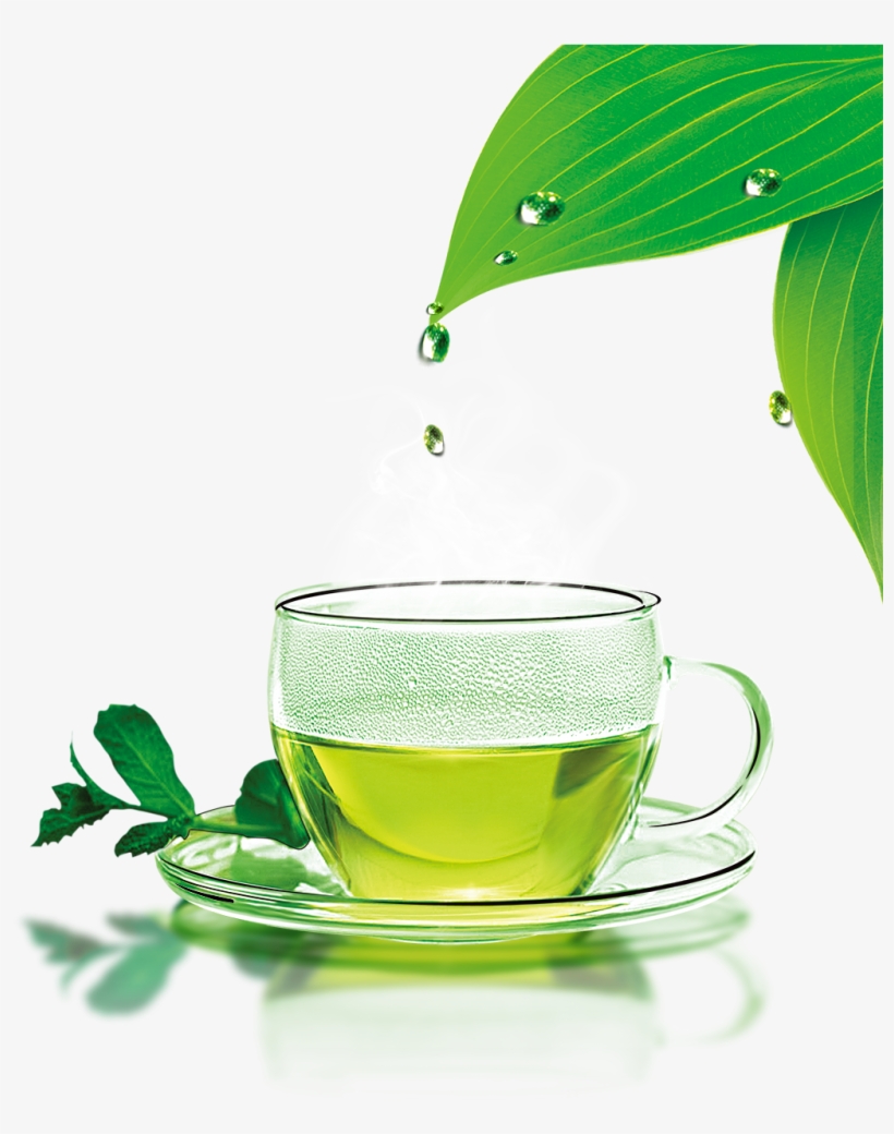 Green Tea Png Download Image - Youlanda Tea Infuser, Stainless Steel Tea Strainer, transparent png