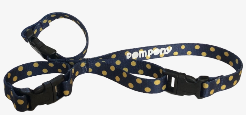 Navy, transparent png