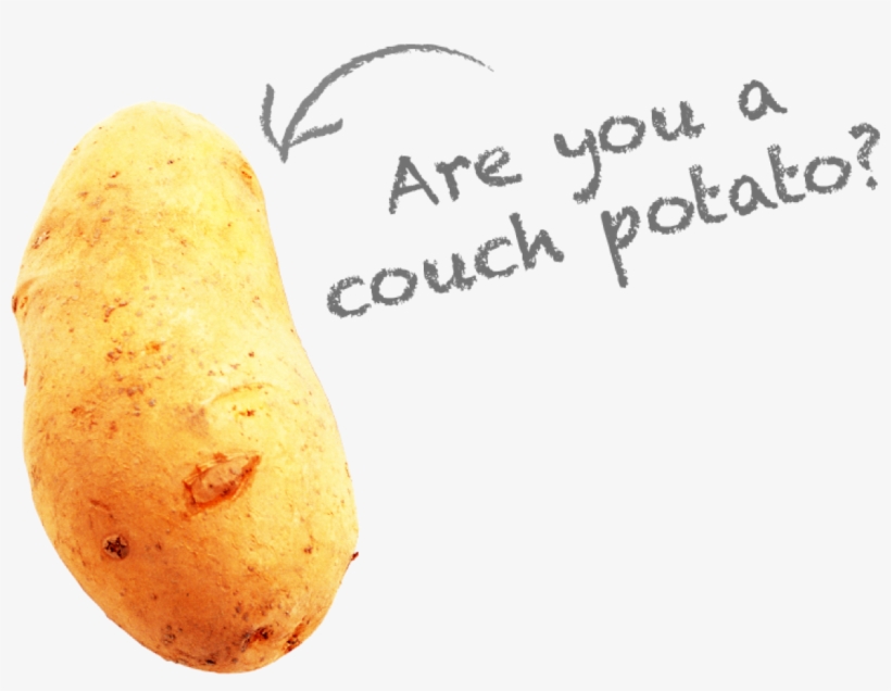 Are You A Couch Potato Covfefe 15 Laptop Sleeve 1101x801 Png