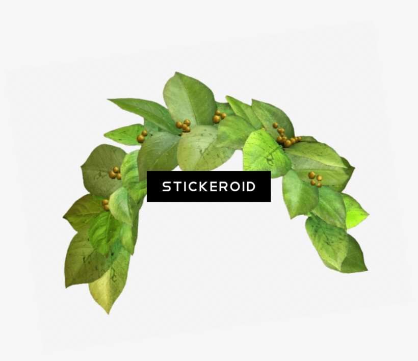 Snapchat Filter Green Crown - Snapchat Photo Filter Transparent Background, transparent png