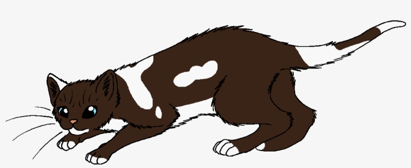 Warrior Cats Png Thunder And Shadow Graphic Library - Wiki, transparent png