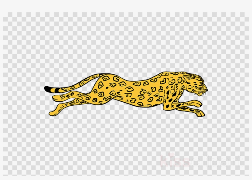 Cheetah Drawing Clipart Cheetah Felidae Cat - Makeup Brush No Background, transparent png